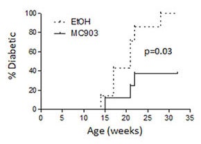 Long-term topical MC903 treatment decreases the incidence of diabetes.
